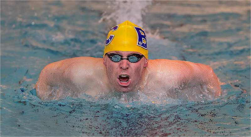 3 Indoor Swimming_Roger Hance.jpg - Set of Three Digitals Exhhibition 2019